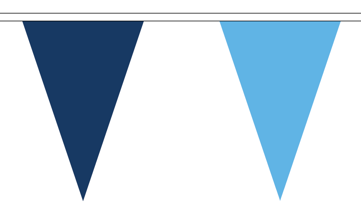 Flagmania Navy Blue and Sky Blue Triangle Bunting 20 metre bunting