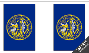 Nebraska 3 metre bunting, 10 flags - Flagmania