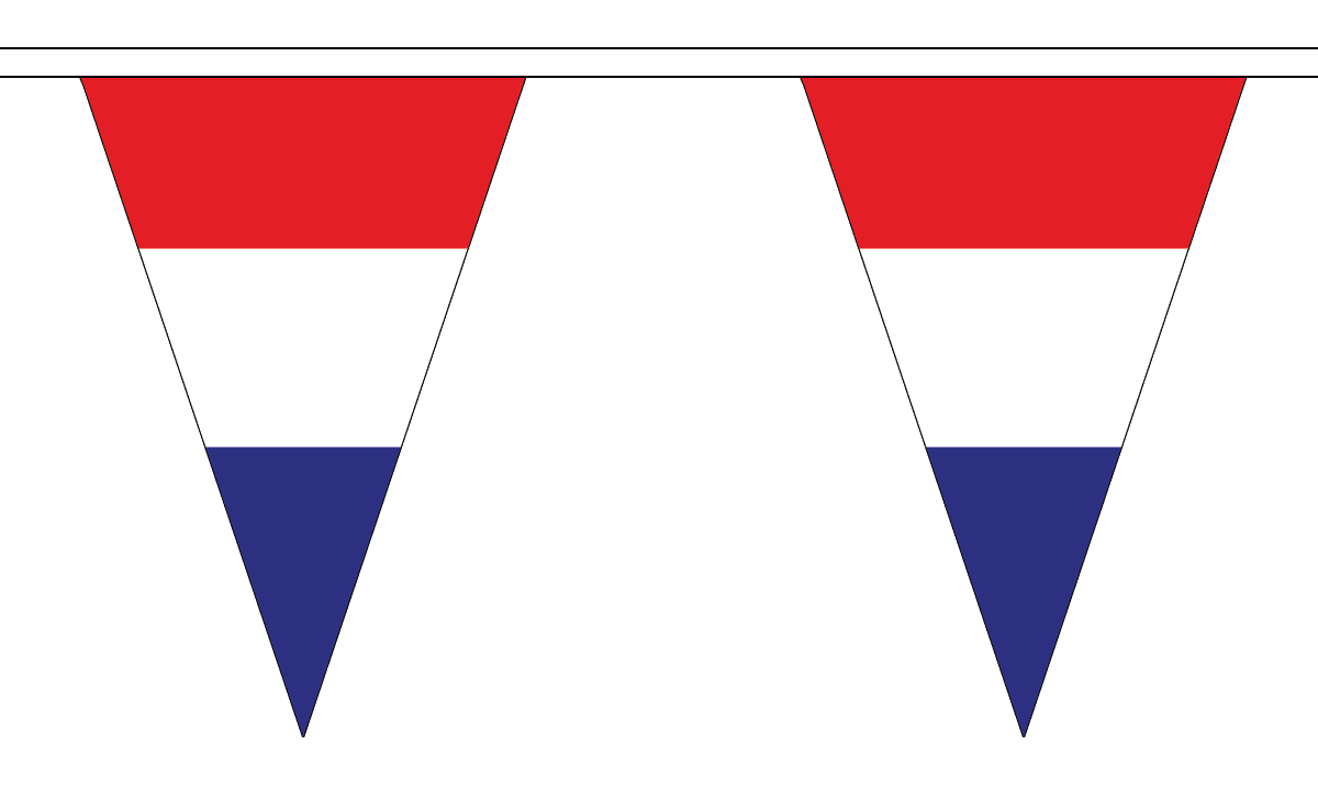 Flagmania Netherlands 5 metre bunting