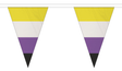 Flagmania Non-Binary Triangle Bunting 20 metre bunting