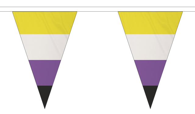Flagmania Non-Binary 5 metre bunting