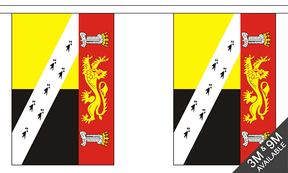 Flagmania Norfolk Old (with Crest) Bunting, 9 metre bunting