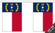 Flagmania North Carolina Bunting, 9 metre bunting