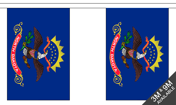 Flagmania North Dakota Bunting, 9 metre bunting