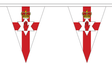 Flagmania Northern Ireland 5 metre bunting