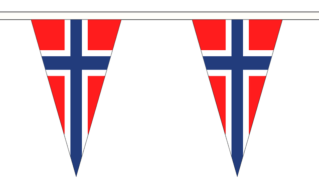 Flagmania Norway 5 metre bunting