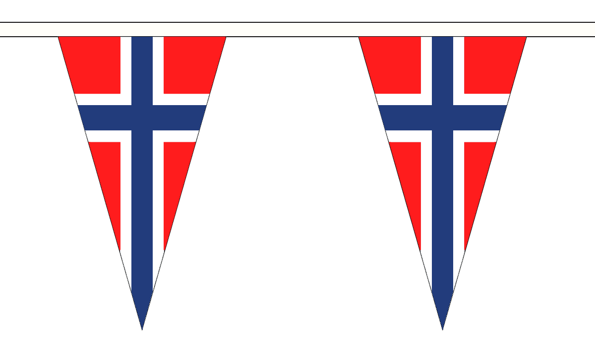 Flagmania Norway Triangle Bunting 20 metre bunting