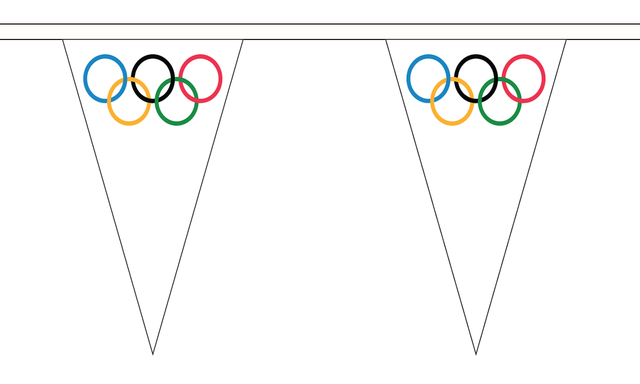 Flagmania Olympic 5 metre bunting