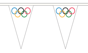 Flagmania Olympic Triangle Bunting 20 metre bunting