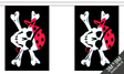 Flagmania One Eyed Jack Bunting, 9 metre bunting