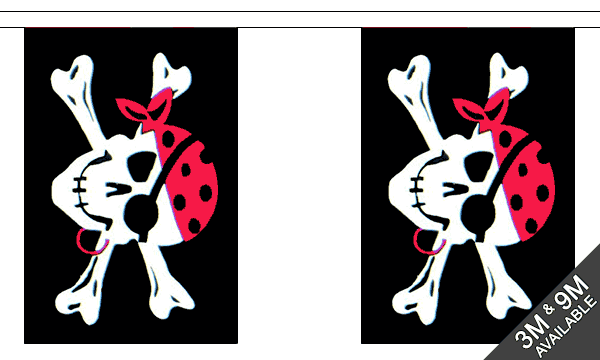 Flagmania One Eyed Jack Bunting, 9 metre bunting