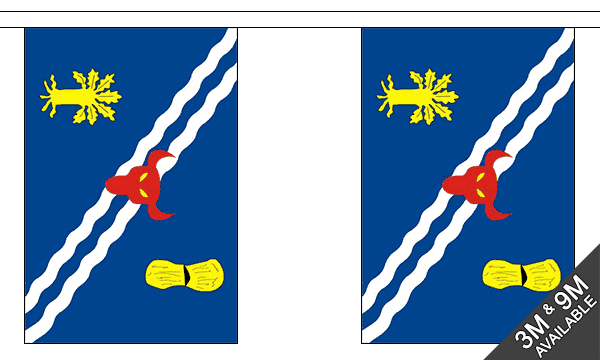 Flagmania Oxfordshire Old Bunting, 9 metre bunting