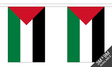 Palestine 3 metre bunting, 10 flags - Flagmania