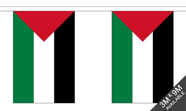 Palestine 3 metre bunting, 10 flags - Flagmania