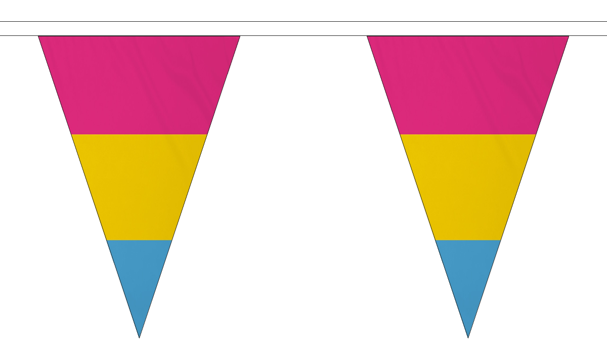 Pansexual Triangle 12 metre bunting by Flagmania