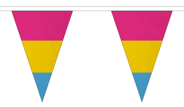 Pansexual Triangle 12 metre bunting by Flagmania