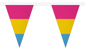 Flagmania Pansexual Triangle Bunting 20 metre bunting