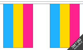 Pansexual 3 metre bunting, 10 flags - Flagmania
