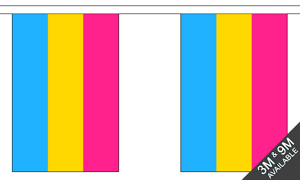 Flagmania Pansexual Bunting, 9 metre bunting