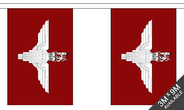 Flagmania Parachute Regiment Bunting, 9 metre bunting