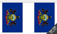 Flagmania Pennsylvania Bunting, 9 metre bunting