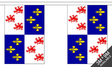 Picardy 3 metre bunting, 10 flags - Flagmania
