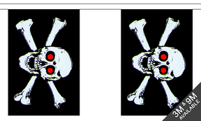 Flagmania Pirate Red Eyes Bunting, 9 metre bunting