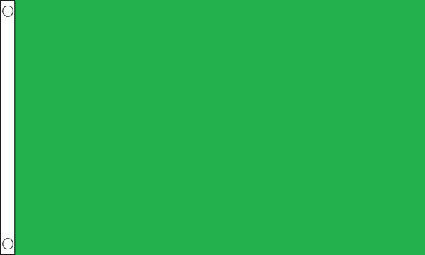 Flagmania Plain Green NYLON 5ft x 3ft Nylon Flag