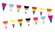 Flagmania Pride Mixed Identity (7 Designs) Triangle Bunting (15m Length)