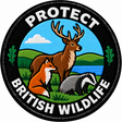 Protect British Wildlife 80mm Embroidered Patch