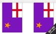 Purple Standard 3 metre bunting, 10 flags - Flagmania
