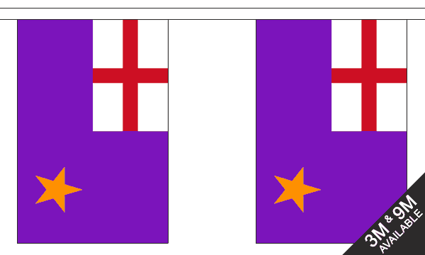 Purple Standard 3 metre bunting, 10 flags - Flagmania