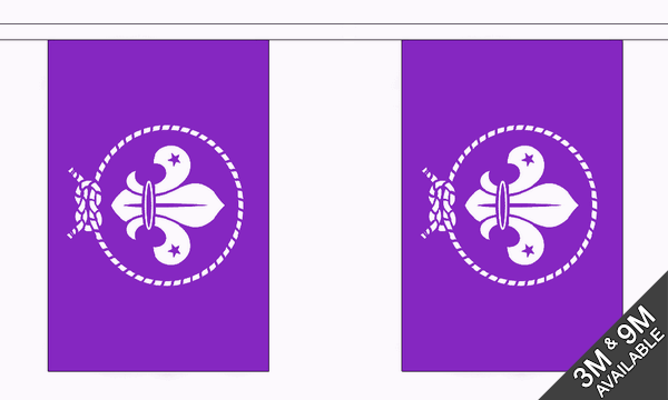 Flagmania Scouts Purple Bunting, 9 metre bunting