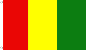 Flagmania Red, Yellow and Green Irish County 8ft x 5ft polyester flag