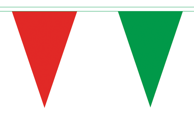 Flagmania Red and Green 5 metre bunting