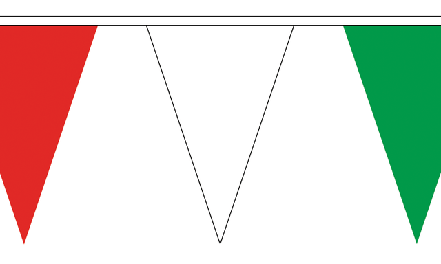 Flagmania Red, White and Green Triangle Bunting 20 metre bunting