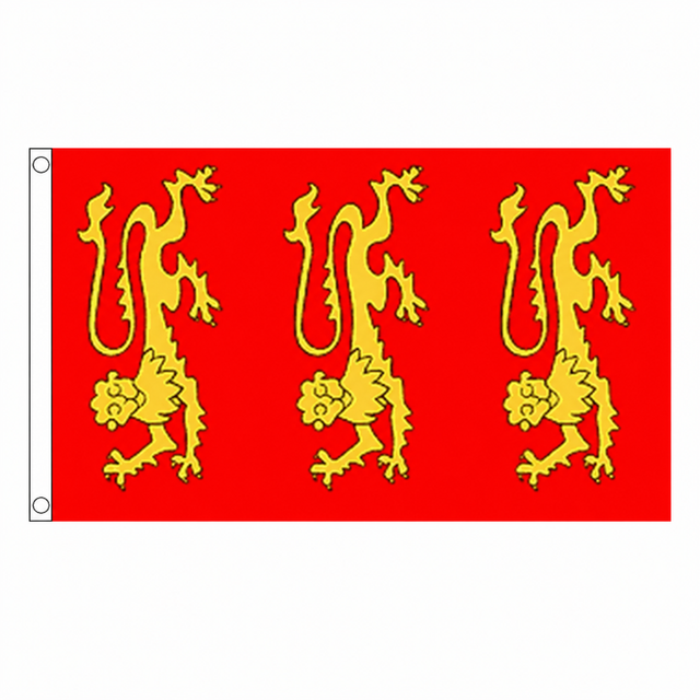 King Richard I flag centred on square white background