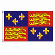 16th Century Royal Banner with gold lions and fleurs-de-lis centred on white