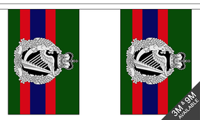 Flagmania Royal Irish Regiment Bunting, 9 metre bunting