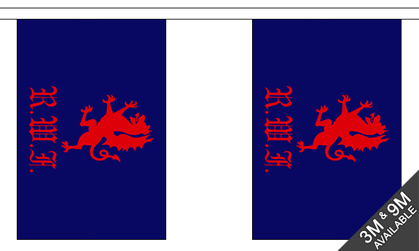 Flagmania Royal Welch Fusiliers Bunting, 9 metre bunting