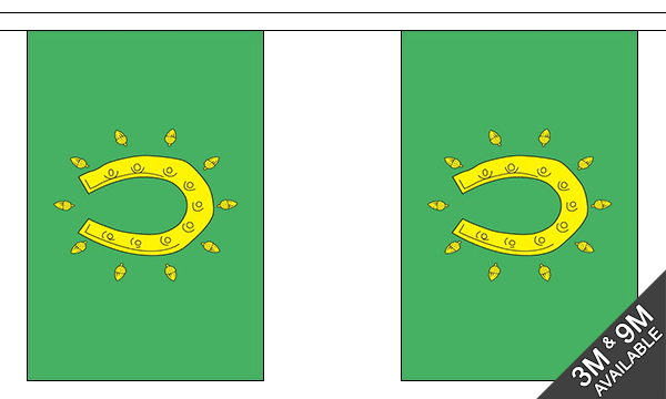Flagmania Rutland Old Bunting, 9 metre bunting