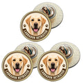 3 x Labrador Retriever Dog (BU27) Lapel Pin Badges
