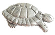 Detailed pewter tortoise pin badge with butterfly clutch fastening on a white background.