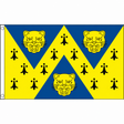 Shropshire new county flag in blue and yellow with three leopard heads and black ermine marks, 5ft x 3ft