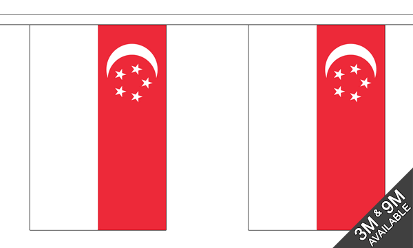 Singapore 3 metre bunting, 10 flags - Flagmania