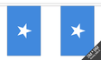 Somalia 3 metre bunting, 10 flags - Flagmania