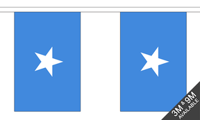 Somalia 3 metre bunting, 10 flags - Flagmania