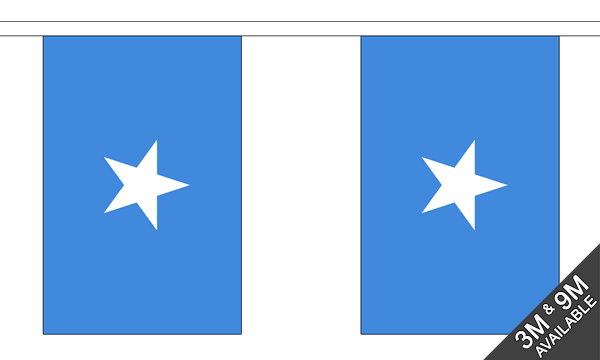 Somalia 3 metre bunting, 10 flags - Flagmania