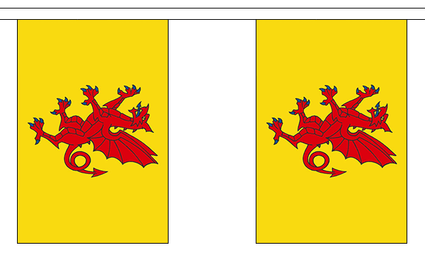 Flagmania Somerset New Bunting, 9 metre bunting