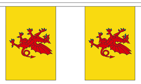 Flagmania Somerset New Bunting, 9 metre bunting